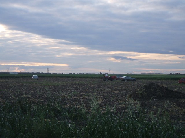 A few old cars in a field. Kinda looks like a scrapyard to me.
