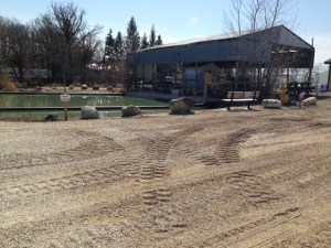 Then either drive into the campground or stop in the new 1 hour parking area