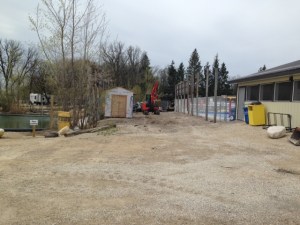 This afternoon 'During'