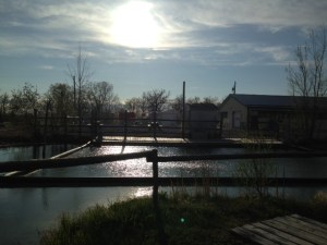 This Evening 'After'