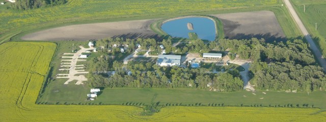 aerial 2008