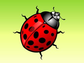 FreeVector-Lady-Bug-Cartoon
