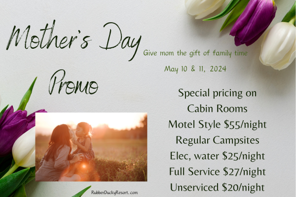 Mother's Day Promo (400 x 600 px) (600 x 400 px)